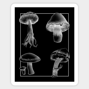 Botanical Mushrooms white lineart Sticker